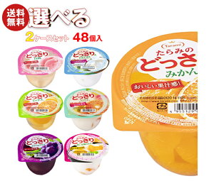  ݂̂ǂ Iׂ2P[XZbg 230g×48(24×2){b  [[ ǂ I Mtg َq  _CGbg t[c[[