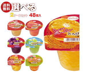  Ƃ낯閡킢 J Iׂ2P[XZbg 200g×48(24×2){b  [[ ǂ I Mtg َq  _CGbg t[c[[