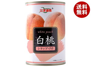 三洋通商 白桃 425g缶×24個入| 送料無料 缶詰 フルーツ 果実 くだもの 桃