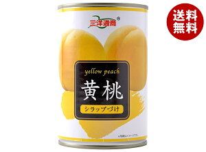 Omʏ  425g×24b  ʋl t[c ʎ  