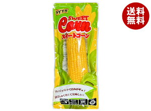 Omʏ tbVpbN XC[gR[ 1{×30b  XC[gR[ Ƃ낱 R[