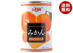 Omʏ ݂ 425g×24b  ʋl t[c ʎ  ݂