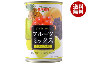 三洋通商 フルーツミックス 425g缶×24個入×(2ケース)| 送料無料 缶詰 フルーツ 果実 くだもの ミックス