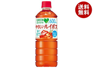 Tg[ GREEN DAEKAERA(O[ _J) ₳C{X 600mlybg{g×24{×(2P[X)b  O[_J dakara C{X