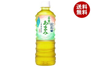 RJR[  t̂܂ 525mlybg{g×24{b   ybg{g Β ₽ 