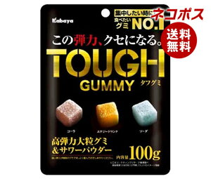 lR|X Jo ^tO~ 100g×6ܓb S َq O~  TOUGH e͑嗱T[