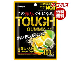 lR|X Jo ^tO~ bV 100g×6ܓb S َq O~  TOUGH e͑嗱T[