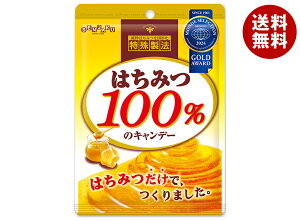 { ݂͂100%̃Lf[ 51g×10ܓ [J[ ≮b  َq  n`~c
