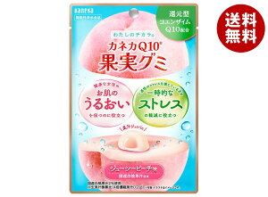 JlJHi JlJQ10ʎO~ W[V[s[` 40g×10ܓb  O~ ʏ` W `bNt RGUC @\\Hi XgX 邨  s[`