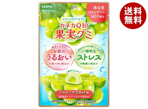 JlJHi JlJQ10ʎO~ VC}XJbg 40g×10ܓb  O~ ʏ` W `bNt RGUC @\\Hi XgX 邨 }XJbg