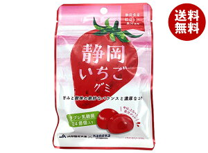 カネカ食品 静岡いちごグミ ラブレ乳酸菌入 40g×10袋入| 送料無料 お菓子 グミ 果汁 ジュレ ラブレ乳酸菌 ラブレ 乳酸菌 チャック付き 腸内環境 苺 いちご