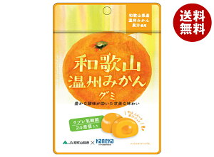 JlJHi a̎RB݂O~ u_ۓ 40g×10ܓ×(2P[X)b  َq O~ ʏ` W u_ u _ `bNt  ݂