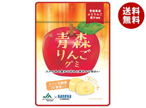 JlJHi X񂲃O~ u_ۓ 40g×10ܓ×(2P[X)b  َq O~ ʏ` W u_ u _ `bNt  S 