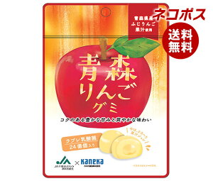 lR|X JlJHi X񂲃O~ u_ۓ 40g×10ܓb S َq O~ ʏ` W u_ u _ `bNt  S 