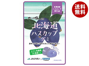 �J�l�J�H�i �k�C���n�X�J�b�v�O�~ ���u�����_�ۓ� 40g×10�ܓ�×(2�P�[�X)�b �������� ���َq �O�~ �ʏ` �W���� ���u�����_�� ���u�� ���_�� �`���b�N�t�� ������ �n�X�J�b�v