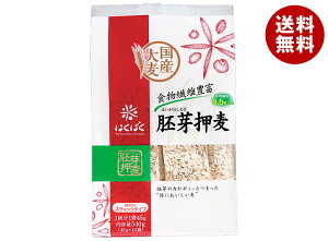 �͂��΂� ��艟�� �X�^���h�p�b�N 540g(45g×12��)×6�ܓ�×(2�P�[�X)�b �������� ��ʐH�i �� ��