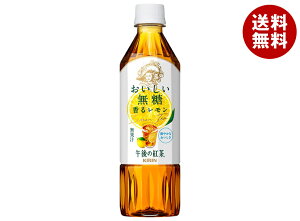 L ߌ̍g  郌 500mlybg{g×24{b  ߌeB[ g  