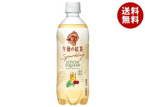 yܖ2026.01.10zL ߌ̍g Xp[NO C`XJbV 500mlybg{g×24{b  g Y_ ߌeB C`