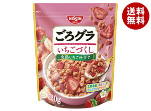 VXR O Â 320g×6ܓ [J[ ≮b  Om[ VA C`S   H J{