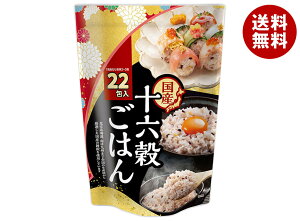 폤 Y \Z͂ (25g×22)×6ܓb  ʐHi G  H@ їp  2`3 Đ