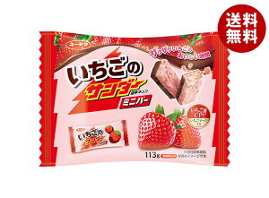 Ly ̃T_[ ~jo[ 113g×12b  َq `R[g