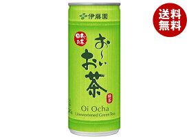 伊藤園 お～いお茶 緑茶 245g缶×30本入×(2ケース)｜ 送料無料 茶 緑茶 清涼飲料 ビタミン