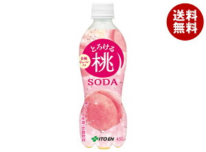 ɓ Ƃ낯铍\[_ 450mlybg{g×24{b  s[` \[_ PET