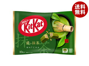 lX{ LbgJbg Z 10×12ܓb  َq `R[g EGn[X