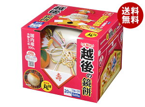 z㐻  ۖ݌ 20 528g×1×(2P[X)b    ܂  