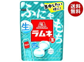 森永製菓 生ラムネ玉 32g×10袋入｜ 送料無料 お菓子 ラムネ 袋