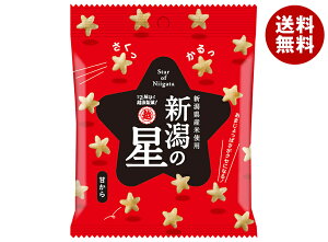 z㐻 V̐ Â 40g×10ܓb  َq ĉ  Y ׂ 