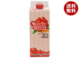 ジーエスフード GS カムカム 5倍希釈 500ml紙パック×12本入| 送料無料 果汁飲料 希釈用 カムカム CAMUCAMU