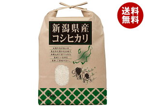 T yߘa7NYzVYЂ 5kg×1ܓb    Y  Ђ ͂ 