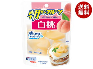 ͂t[Y t[c  95gpE`×6×(2P[X)b  ʋl t[c ʕ  s[`