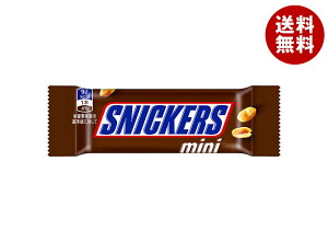 }[XWp XjbJ[Y ~j 1{×24×(2P[X)b  َq `R o[^Cv SNICKERS mini L kK[ s[ibc