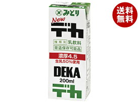 【賞味期限2025.12.10かそれ以降】九州乳業 みどり Newデカ 200ml紙パック×24本入×(2ケース)｜ 送料無料 豆乳 乳性飲料 乳性 乳飲料 紙パック