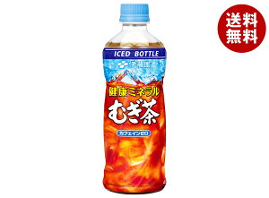 ɓ N~lނ (Ⓚp{g) 485mlybg{g×24{×(2P[X)b   PET X Ⓚ{g 