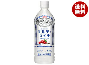 �L���� ���E��Kitchen���� �\���e�B���C�`�y�蔄��p�z 500ml�y�b�g�{�g��×24�{��×(2�P�[�X)�b �������� �ʎ����� ���C�` �M���΍� ���� �⋋ �����⋋