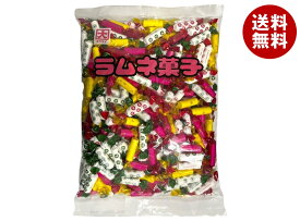 [ポイント5倍！3/11(水)1時59分まで全品対象エントリー&購入]カクダイ製菓 ラムネ菓子 1kg×1袋入×(2ケース)｜ 送料無料 ラムネ ラムネ菓子 クッピーラムネ お菓子 小分け