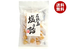 井関食品 石垣島 塩の飴 100g×10袋入 メーカー 問屋直送｜ 送料無料 菓子 飴 塩飴 キャンディ