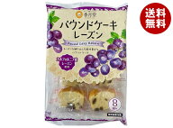 香月堂 パウンドケーキ レーズン 8個×8袋入｜ 送料無料 お菓子 おやつ パウンドケーキ 洋菓子