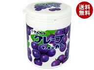 丸川製菓 グレープ マーブルガム ボトル 130g×6個入｜ 送料無料 お菓子 ガム 駄菓子 グレープ味 ぶどう…
