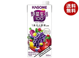 カゴメ 野菜生活100 ベリーサラダ(ホテルレストラン用) 1L紙パック×6本入×(2ケース)｜ 送料無料 野菜ミックス 果汁＆野菜