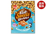 でん六 ポリッピー 塩キャラメル味 72g×12袋入｜ 送料無料 お菓子 袋 豆菓子 おつまみ 塩キャラメル