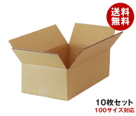 ダンボール箱(段ボール箱)10枚セット（外寸462mm×240mm×155mm　C5）｜ 送料無料 ダンボール　段ボール 100サイズ対応