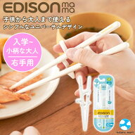 エジソンのお箸2 右手用 キレイに持てて正しく使える 入学 手の小さい大人 EDISON 矯正 持ち方 はし 子供