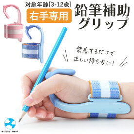 鉛筆 持ち方 矯正 鉛筆グリップ 持ち方器具 正しい持ち方 持ち方矯正 サポート サポーター ペングリップ 練習 補助 子供 鉛筆補助具 右手用 ピンホールド グリップトレーナー 学生 小学生 保育園 幼稚園 鉛筆補助 姿勢改善 姿勢補正