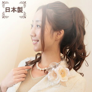 RT[W u[` { tH[}  QXg Ǝ  w  VNI[KW[̃sR[RT[W  zCg sN ~g wANbvt ̓