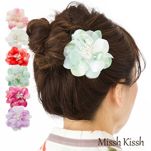 y}\2{EeN[|z Nbv p[ a  l ܎O Ǝ w  wAANZT[ 񂴂  [vp[1֘aRT[W    s