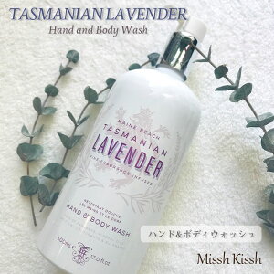 y̒N[|Ώۏiznh\[v {fB\[v nhEHbV {fBEHbV MAINE BEACH }Cr[` TASMANIAN LAVENDER ^X}jA x_[ v[g Mtg ̓ 